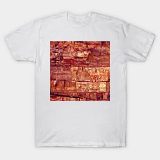 Petrified Wood T-Shirt